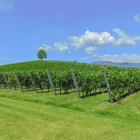 Σπίτι διακοπών L'isola Che Non C'e *